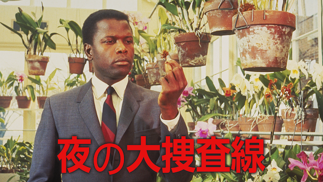 夜の大捜査線 - サムネイル