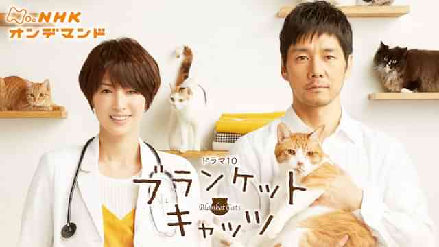 ブランケット・キャッツ