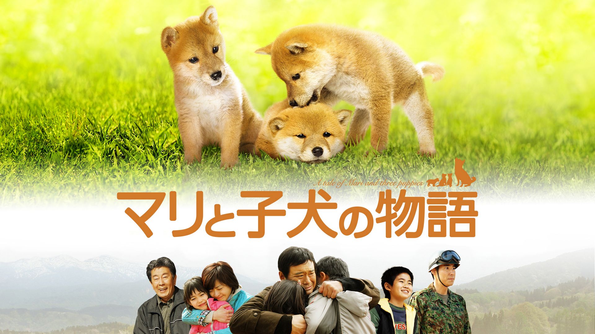 マリと子犬の物語