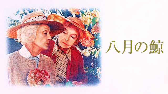 八月の鯨 - サムネイル
