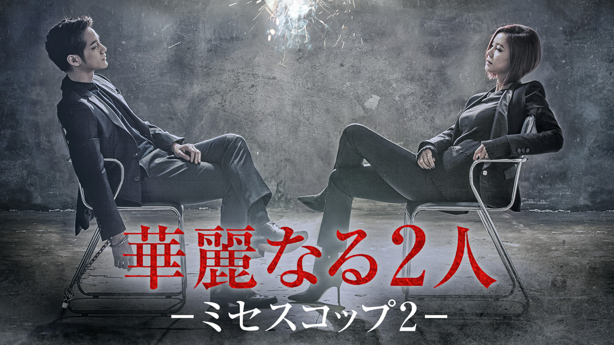 華麗なる2人－ミセスコップ2－(韓流・アジアドラマ / 2016) - 動画配信