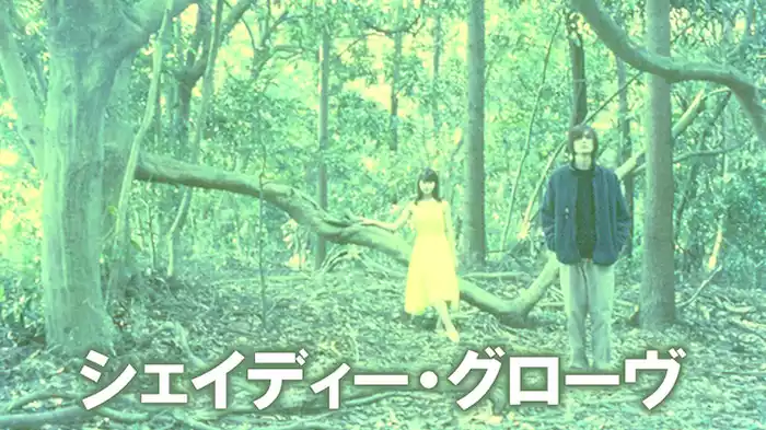 シェイディー・グローヴ