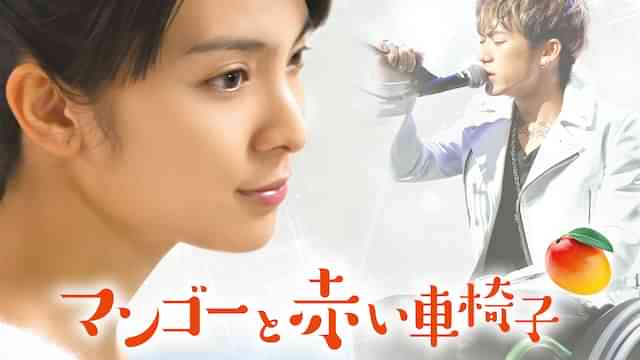 マンゴーと赤い車椅子