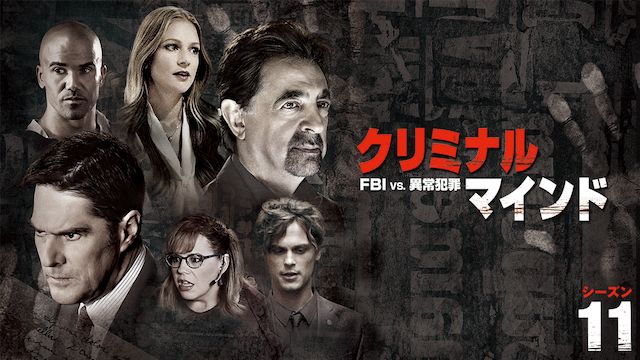 クリミナル マインド Fbi Vs 異常犯罪 シーズン11 の動画配信情報