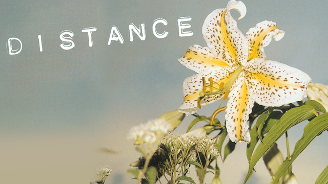 DISTANCE - サムネイル