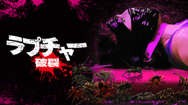 ラプチャー －破裂－ - サムネイル
