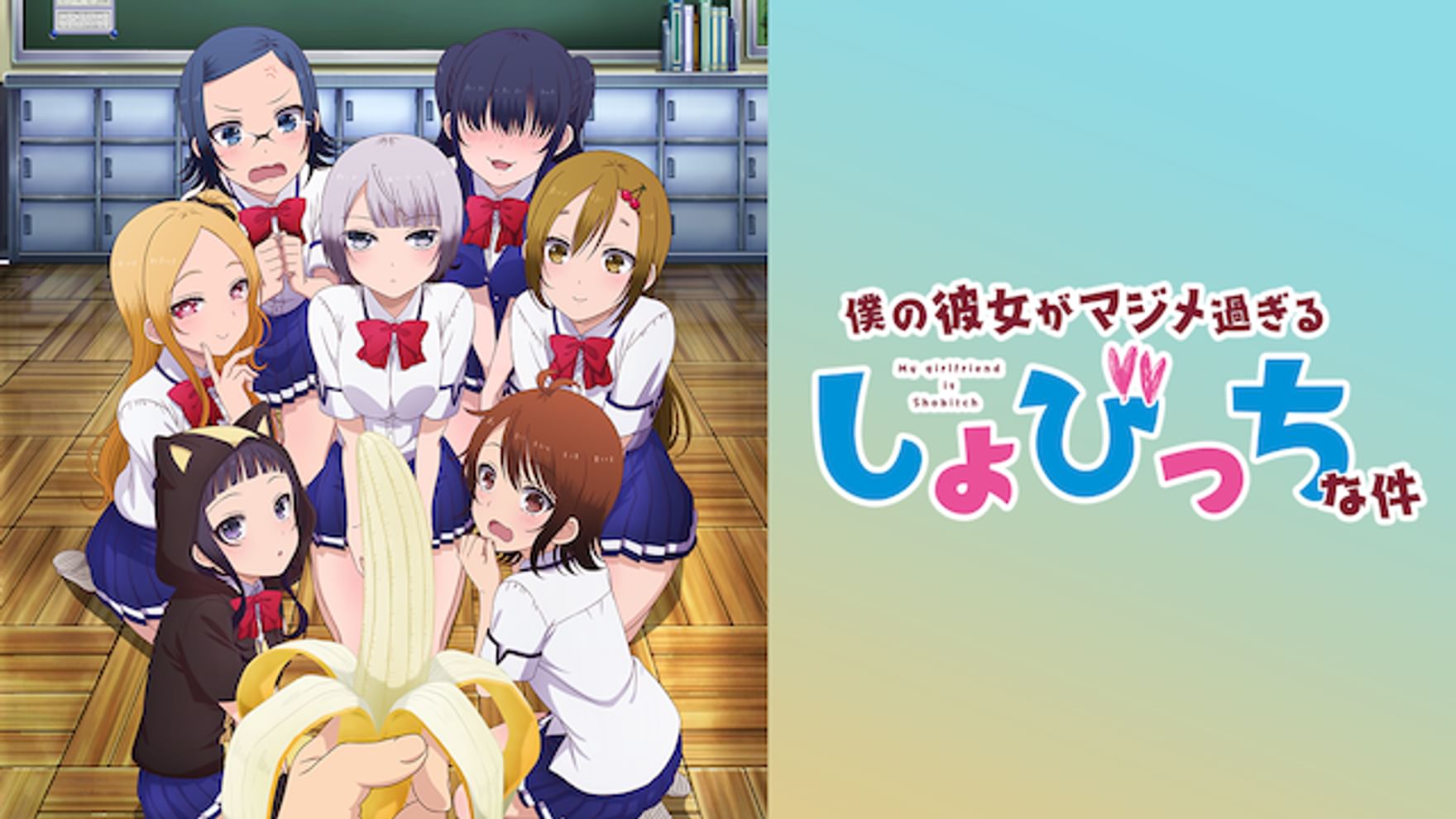 安田祥子の動画視聴 あらすじ U Next