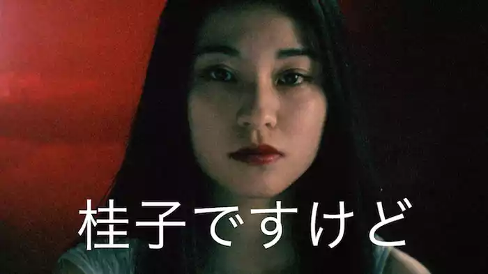 桂子ですけど