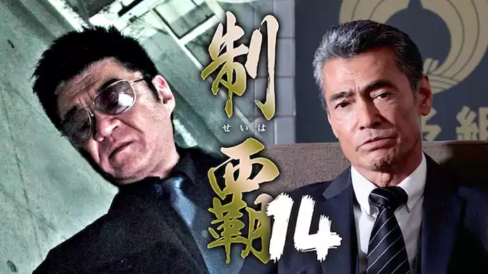 制覇14