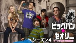 ビッグバン・セオリー シーズン8(海外ドラマ / 2014) - 動画配信 | U