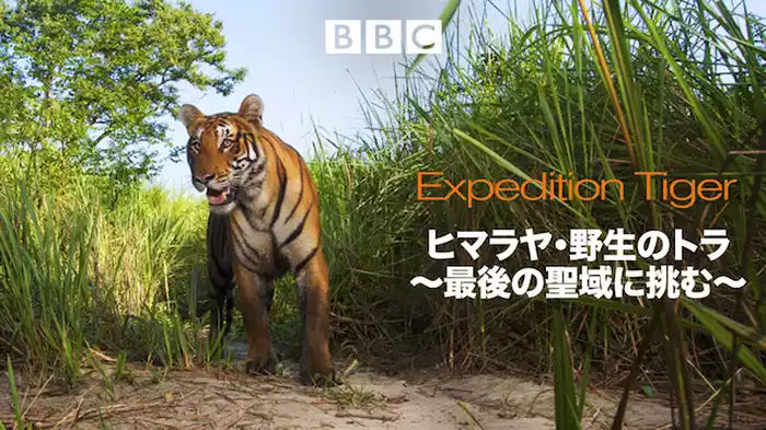 ヒマラヤ・野生のトラ～最後の聖域に挑む～