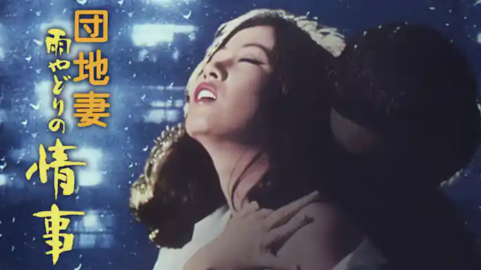 団地妻 雨やどりの情事