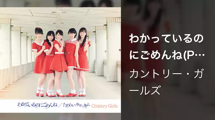 わかっているのにごめんね(Promotion Edit.)