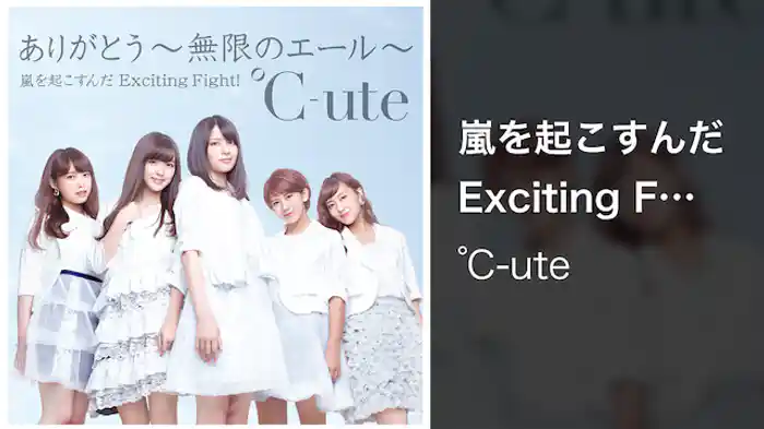 嵐を起こすんだ Exciting Fight！