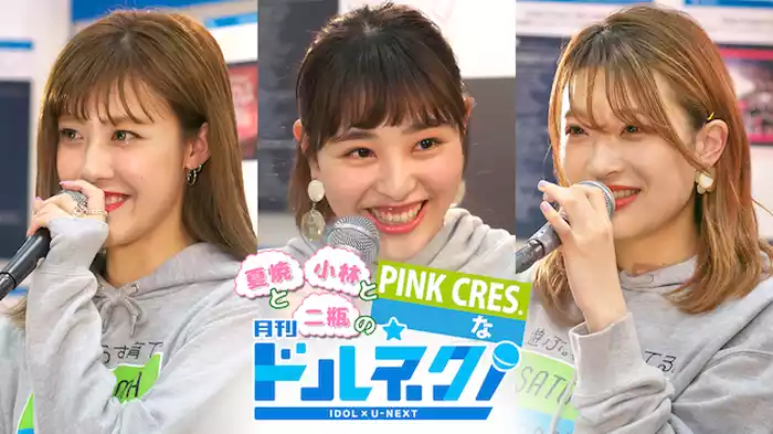 夏焼と小林と二瓶のPINK CRES.な月刊ドルネク（vol.15）