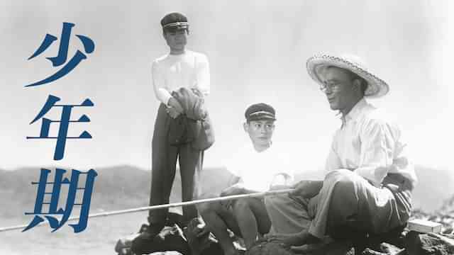 少年期