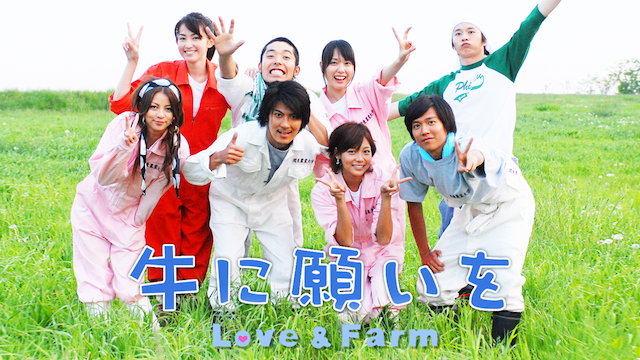 牛に願いを Love&Farm(国内ドラマ / 2007) - 動画配信 | U-NEXT 31日間