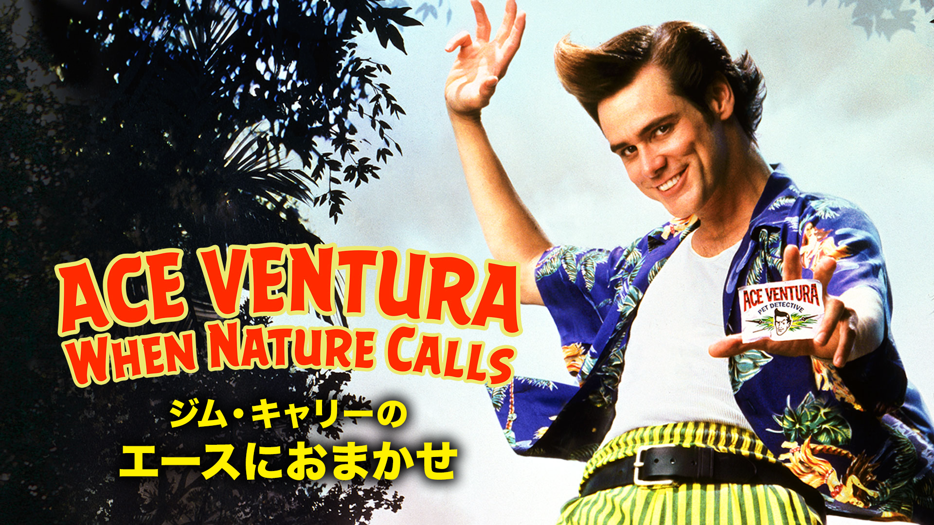 ジム・キャリーのエースにおまかせ - サムネイル