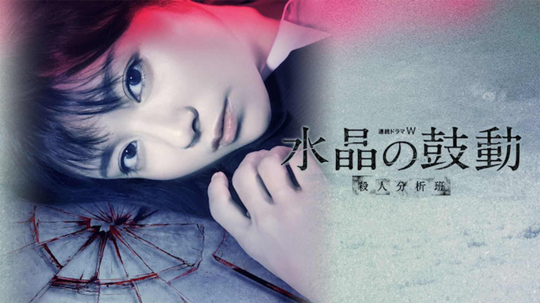 木村文乃の動画視聴 あらすじ U Next