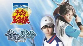 ミュージカル『テニスの王子様』2ndシーズン 全国大会 青学（せいがく）vs氷帝