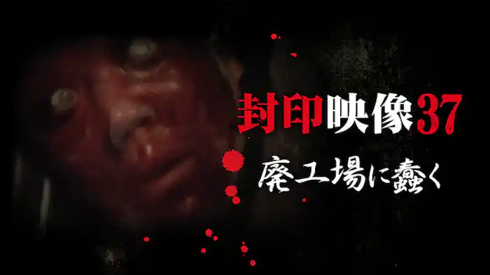 封印映像37 廃工場に蠢く