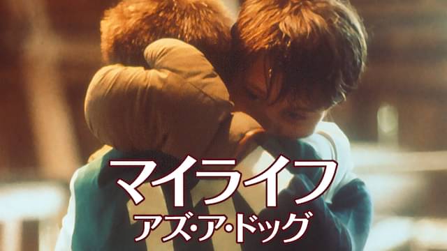 映画 マイライフ アズ ア ドッグの動画をフルで無料視聴できる配信サイトまとめ