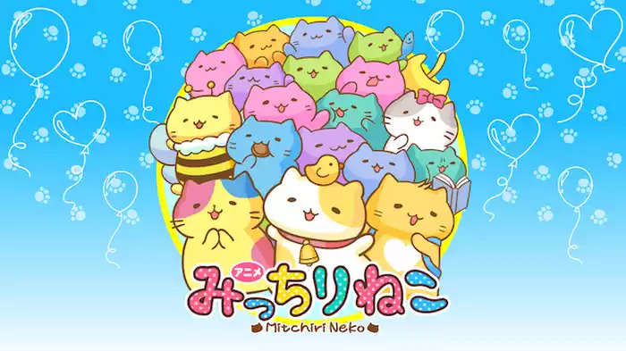 みっちりねこ