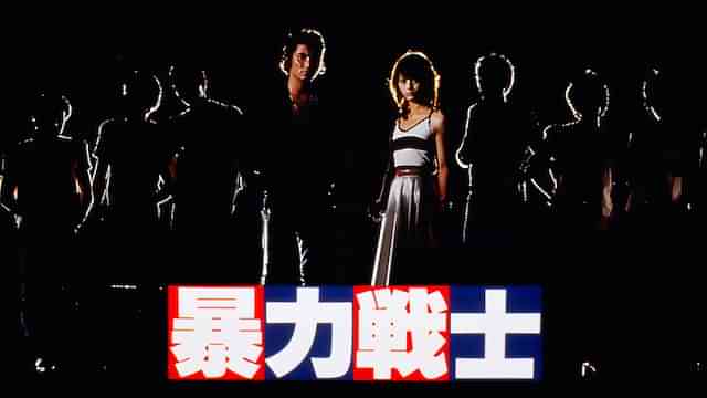 暴力戦士