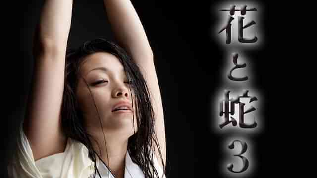 花と蛇３