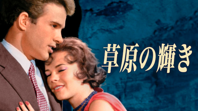 草原の輝き - サムネイル