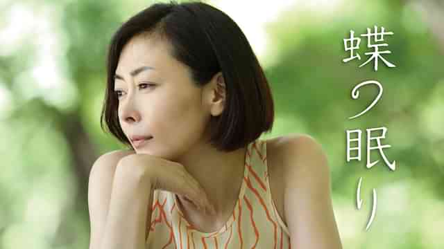 蝶の眠り