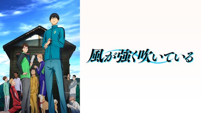 風が強く吹いている TVアニメ