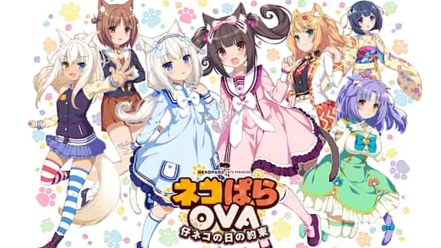 岡嶋妙のプロフィール 画像 写真