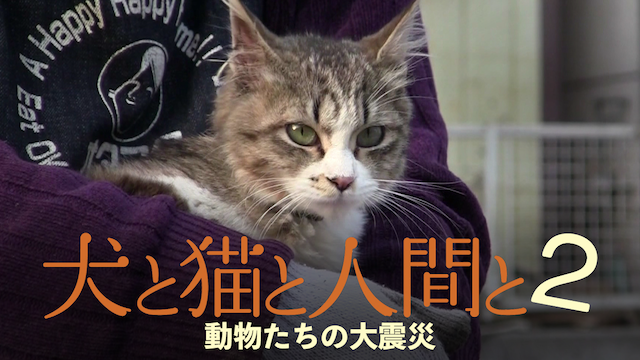 犬と猫と人間と2　動物たちの大震災 - サムネイル