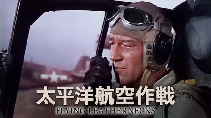 太平洋航空作戦