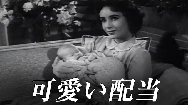 可愛い配当 - サムネイル