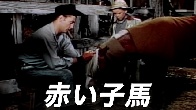 赤い子馬 - サムネイル