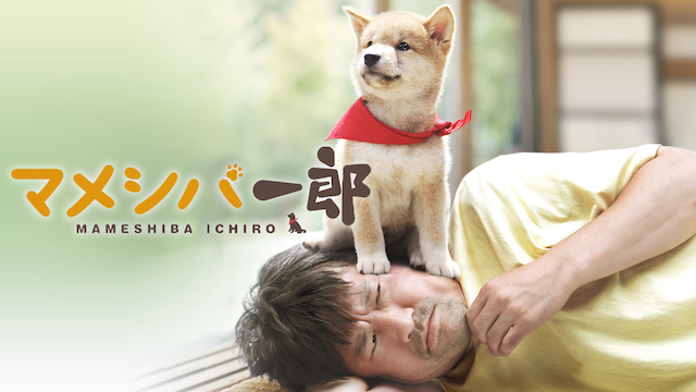 マメシバ一郎 - サムネイル