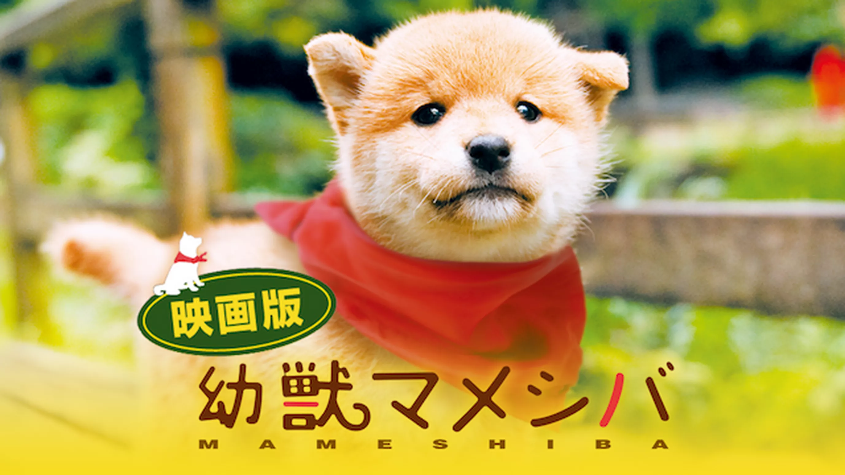 映画版　幼獣マメシバ