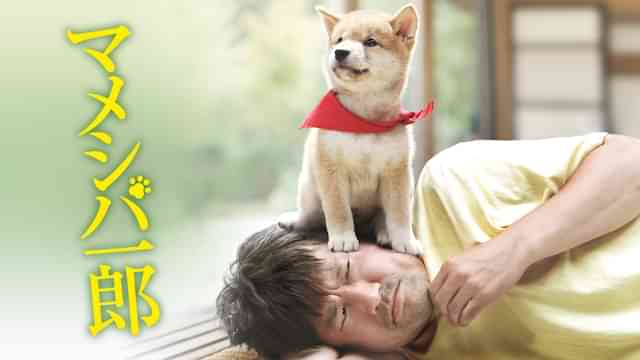 映画版マメシバ一郎