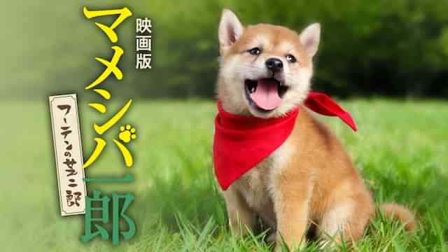 映画版マメシバ一郎 フーテンの芝二郎