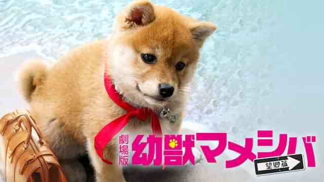 映画 幼獣マメシバ 望郷篇