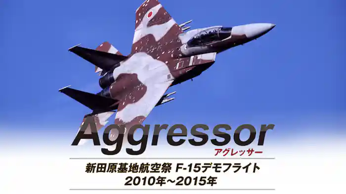 Aggressor：アグレッサー 新田原基地航空祭 F-15デモフライト 2010年～2015年