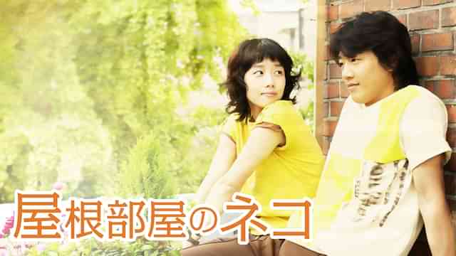 屋根部屋のネコ