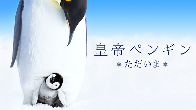 皇帝ペンギン ただいま ドキュメンタリー 17 の動画視聴 U Next 31日間無料トライアル