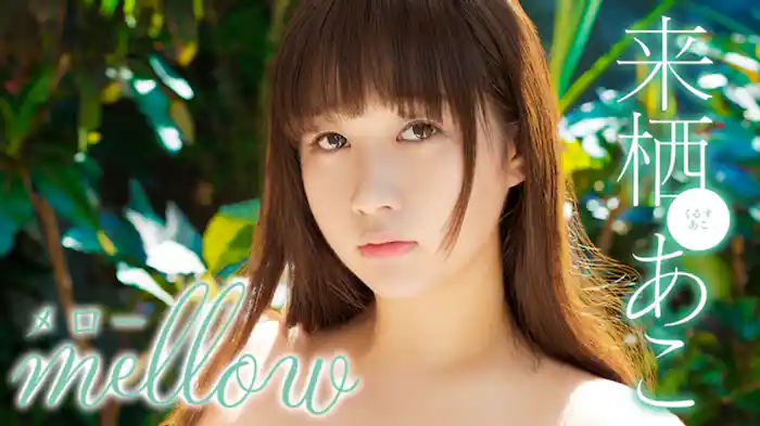 来栖あこ『mellow』