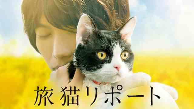 旅猫リポート