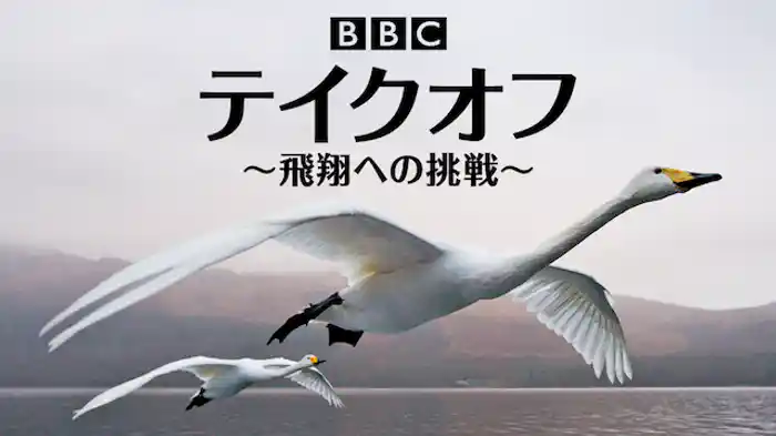 テイクオフ〜飛翔への挑戦〜