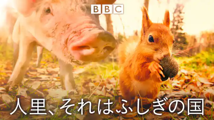 人里、それはふしぎの国