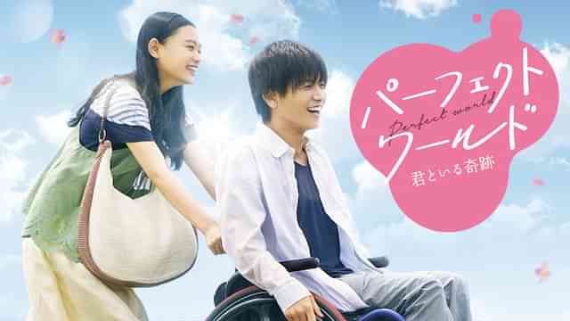 パーフェクトワールド 君といる奇跡